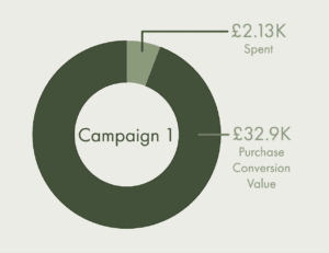 Social Campaign1